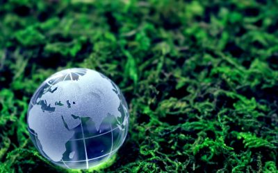 Protéger notre avenir : Les enjeux cruciaux de l&rsquo;environnement à aborder dès maintenant