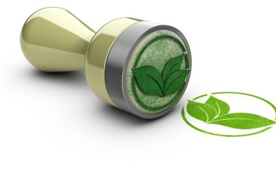 Les bénéfices méconnus des éviers en bois pour l&rsquo;environnement : une alternative durable et esthétique