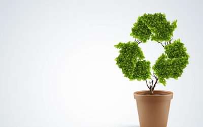 Devenir rédacteur SEO professionnel : les bonnes pratiques à connaître