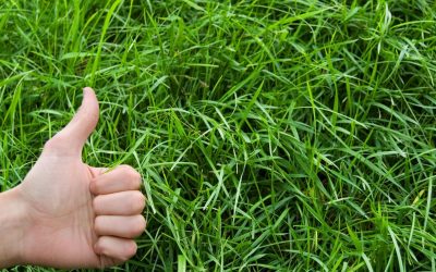 Sauver notre planète : Les enjeux environnementaux auxquels nous devons tous faire face