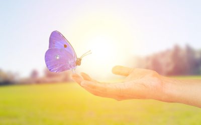 Protéger notre planète : l&rsquo;urgence d&rsquo;agir pour l&rsquo;environnement