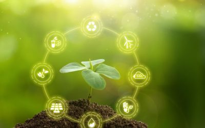 L&rsquo;impact insoupçonné de nos vêtements sur l&rsquo;environnement