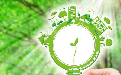 Les enjeux environnementaux au cœur de notre avenir : regards croisés sur le présent et le futur