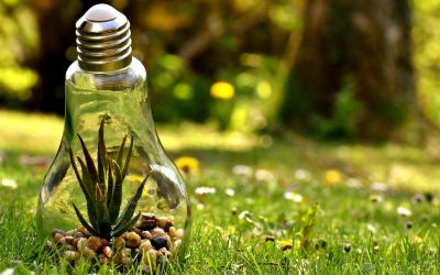 L&rsquo;environnement : entre urgence et espoir, comment agir concrètement ?