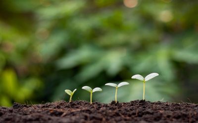 La Machine à Changer le Climat : Réalité ou Science-Fiction ?