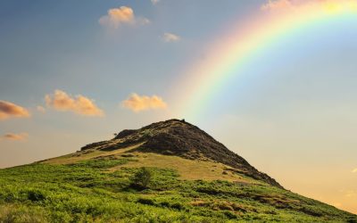 Les éoliennes, sauveuses silencieuses ou bourreaux bruyants ?