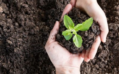 Ces innovations technologiques qui pourraient sauver notre planète