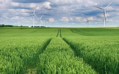 Le Secret des Jardins Comestibles : Transformer nos Villes en Paradis Alimentaire