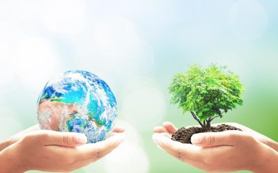 Les abeilles espionnes : la clé pour sauver la planète ?