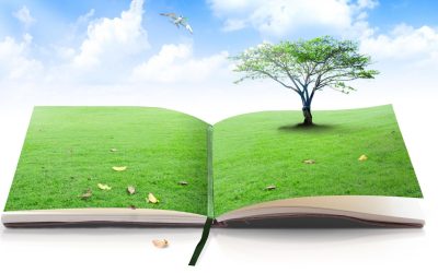 Éoliennes: les géants silencieux qui pourraient sauver notre planète