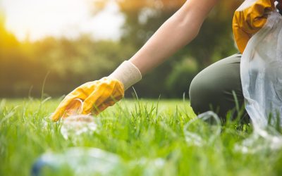 L&rsquo;impact de l&rsquo;environnement sur notre avenir : Les vraies menaces à prendre au sérieux