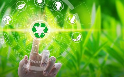 L&rsquo;impact insoupçonné des plantes d&rsquo;intérieur sur l&rsquo;environnement