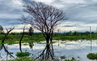 L’empreinte écologique des jeux vidéo : Vers une nouvelle menace environnementale ?