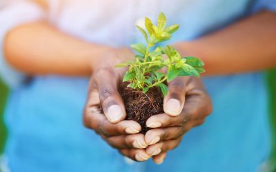 Protéger notre planète pour sauver notre futur: Comment l&rsquo;action environnementale peut impacter notre avenir