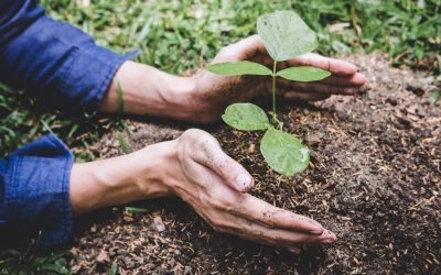 Protéger notre planète : l&rsquo;urgence d&rsquo;agir pour l&rsquo;environnement
