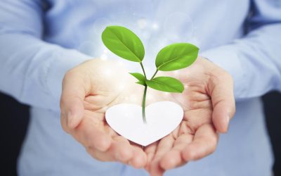 Mars, le nouvel éden : la colonisation spatiale pour sauver l&rsquo;environnement