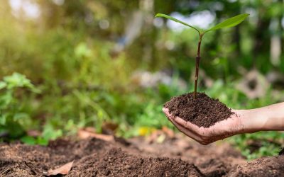 Quand la mode durable devient chic : Greenwashing ou réelle révolution ?