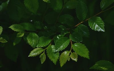 Millennials versus baby-boomers : qui sont les vrais éco-warriors ?