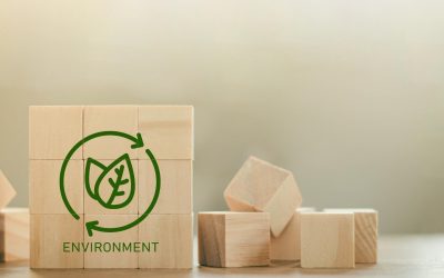 Les éoliennes, une menace pour nos oiseaux?