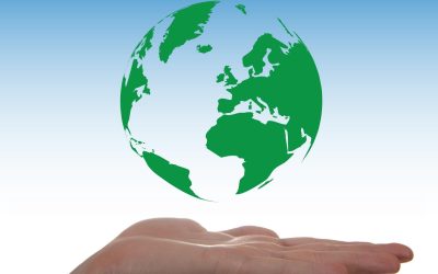 À contre-courant : Les éoliennes, un danger pour la biodiversité?