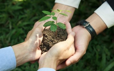 Les secrets environnementaux cachés dans nos déchets: Comprendre les avantages méconnus de nos ordures