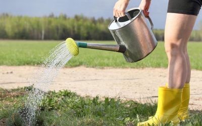 L&rsquo;éolienne est-elle notre futur Elon Musk?