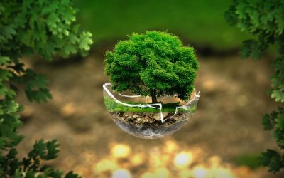 Comment l&rsquo;environnement influence nos vies : un examen approfondi de la relation entre l&rsquo;homme et la nature