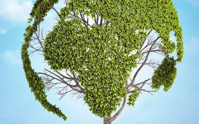 Environnement : L&rsquo;urgence d&rsquo;agir maintenant pour protéger notre planète