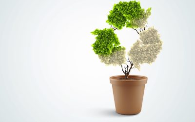 Plonge dans l&rsquo;univers fragile de l&rsquo;environnement : Comment notre planète est en danger et comment nous pouvons l&rsquo;aider