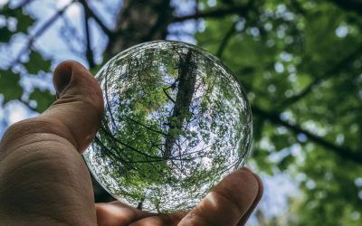 L&rsquo;urgence environnementale : agir maintenant pour un avenir durable