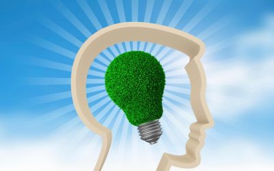 Quand les Plantes Portent Plainte : Et Si la Nature avait des Droits?