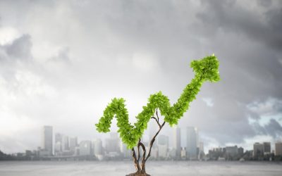 Les éoliennes, voleuses de vent ? Mythiques accusations décortiquées