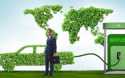 Les enjeux environnementaux actuels : comprendre, agir et préserver