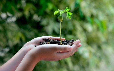 La Planète Se Rebelle : Quand la Nature Prend sa Revanche