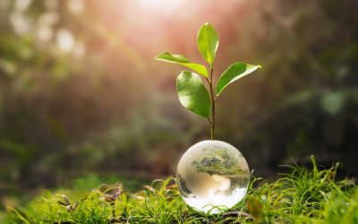 Réchauffement climatique : Et si les vikings avaient raison ?