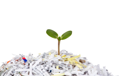 Plan Nature en Ville 2024-2030 comment les villes renaissent ce matin?