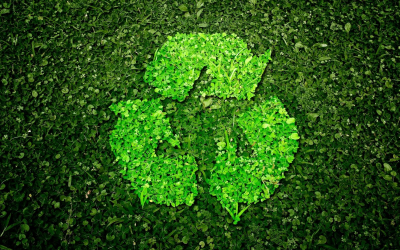 Renaturation urbaine à Paris et Lyon : pourquoi aujourd’hui agir d’urgence ?