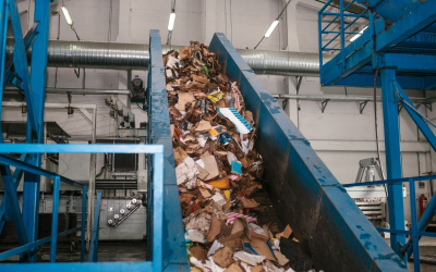 Plan Nature en Ville 2024-2030 : pourquoi Angers innove aujourd’hui ?