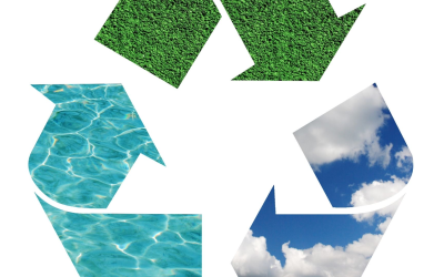 Pour vous proposer un titre et un plan 100 % cohérents, pourriez-vous préciser votre attente ?  
1. Souhaitez-vous que j’adapte la structure au sujet plus général de la plateforme « Emploi Vert Pour Tous » et son écosystème (initiatives territoriales, métiers verts, etc.) ?  
2. Ou préférez-vous que je recentre l’article sur une ville ou une gare précise (dans ce cas, merci de m’indiquer laquelle et, si possible, quelques infos locales) ?  

Dès que j’aurai votre retour, je pourrai aligner titre, angle éditorial et plan au plus juste.