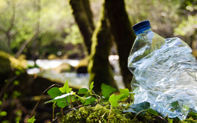 Emplois verts Pays de la Loire : détail exclusif à voir aujourd’hui
